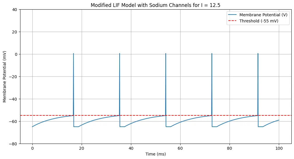 Neuron model with a voltage-gated sodium channel