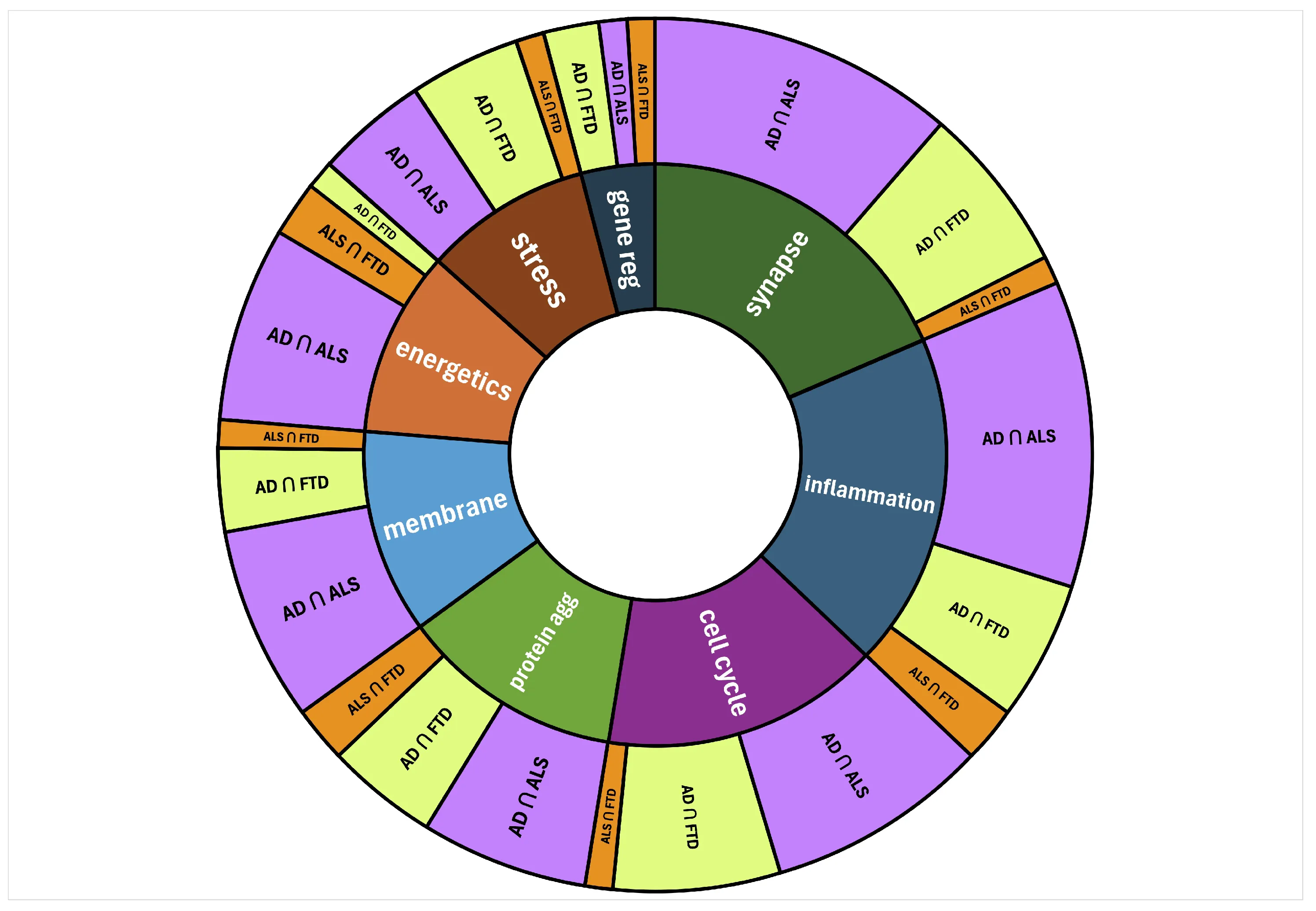 Sunburst chart mapping high-ranking molecular nodes to eight biological processes and three pairwise disease intersections