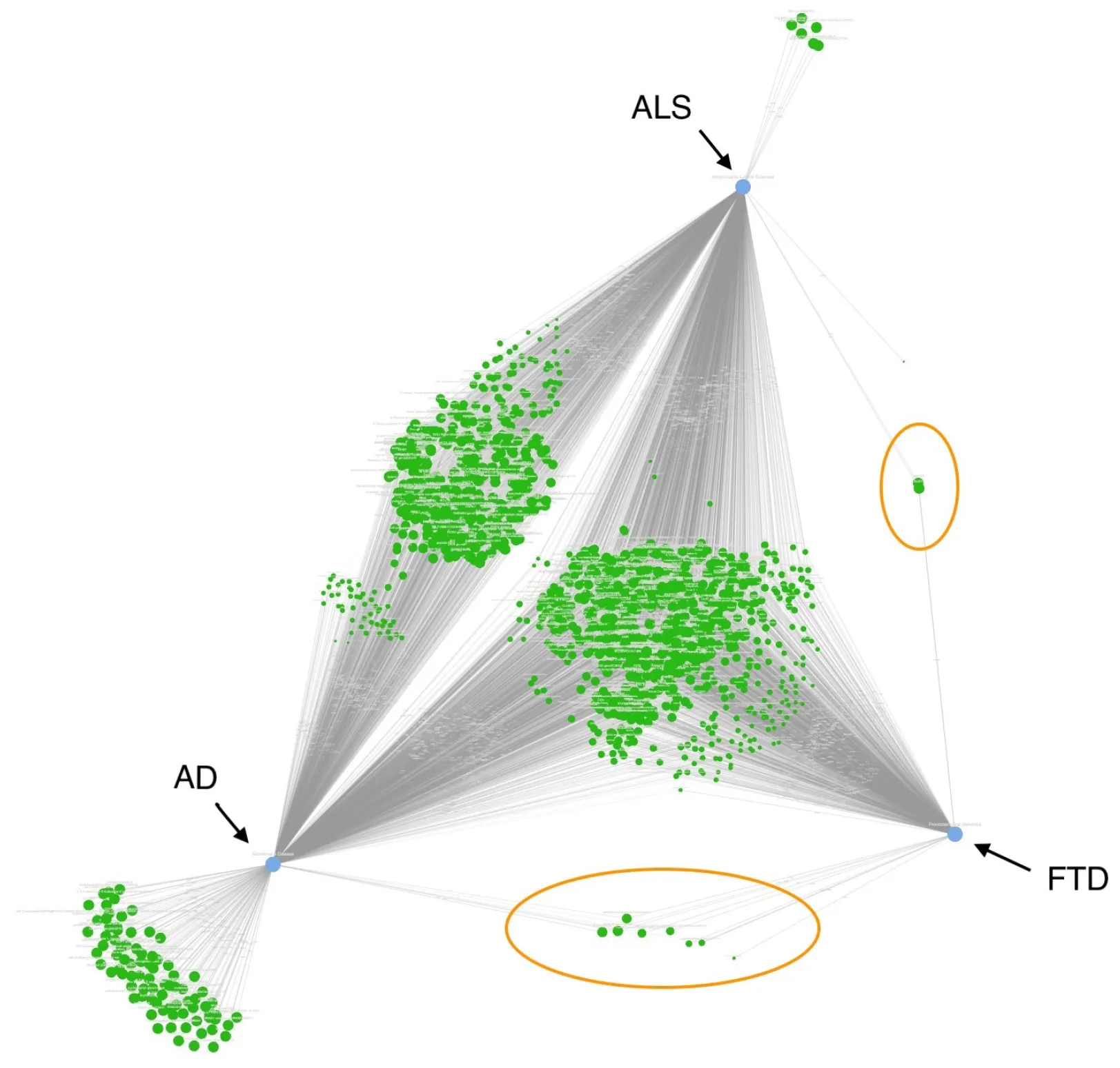 Triangular CompositeView network of protein nodes shared across Alzheimer’s disease, ALS, and FTD
