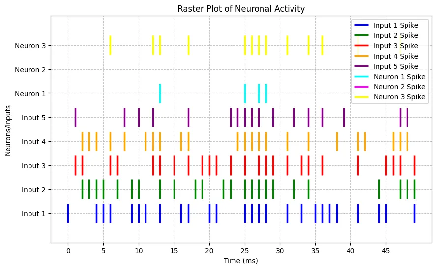 Raster plot of neural network firing