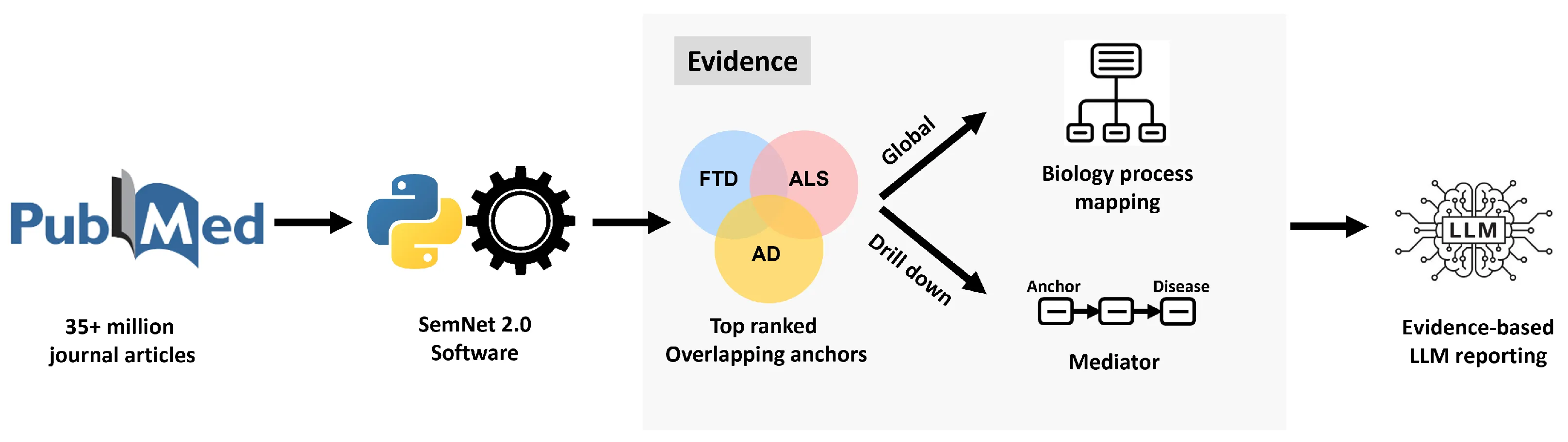 SemNet Explorer workflow from PubMed-scale knowledge graph evidence to global and anchor-level LLM reports